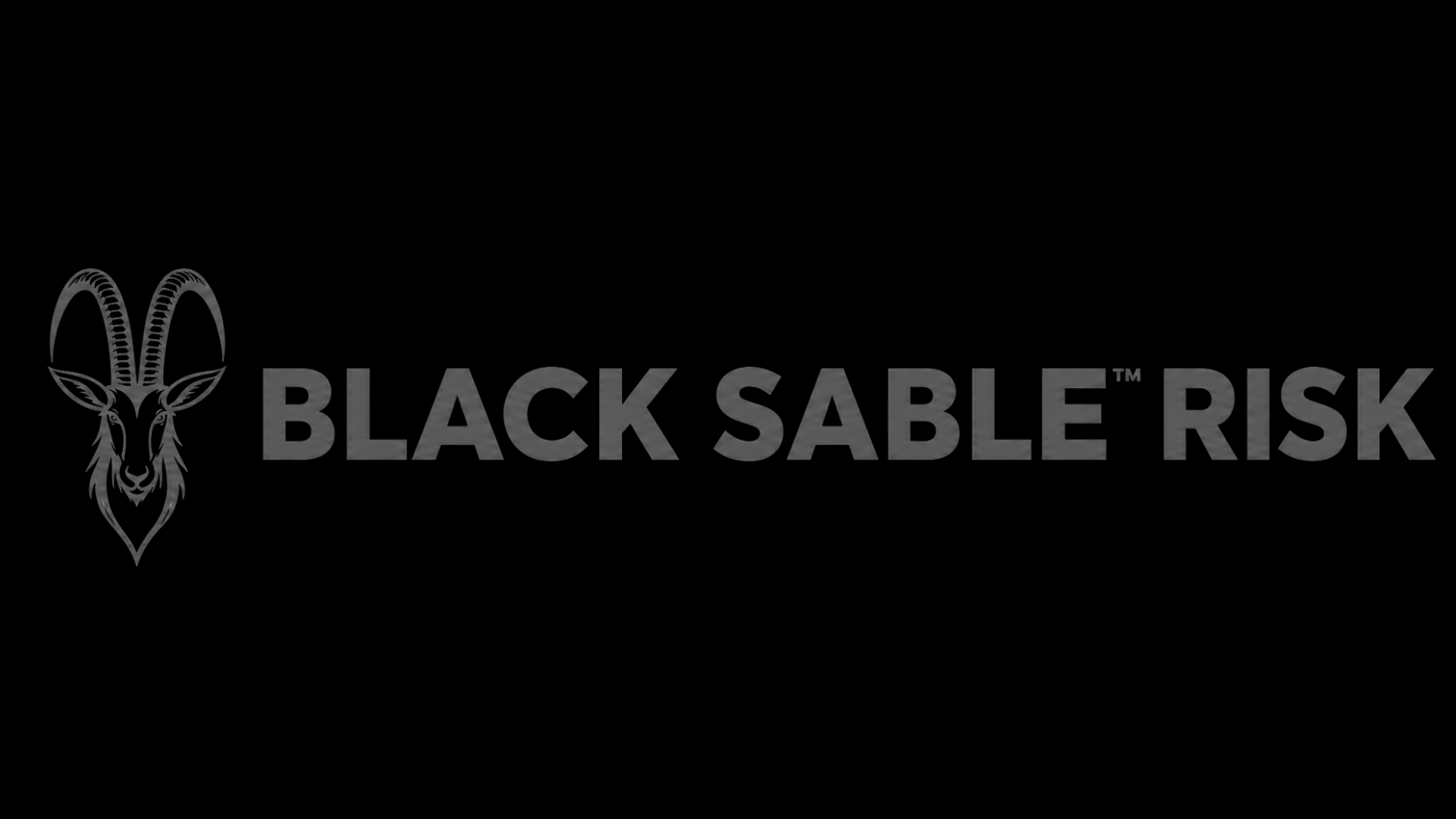 Black Sable™ Risk